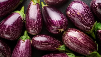 Fresh Ripe Graffiti Eggplants on Dark Background