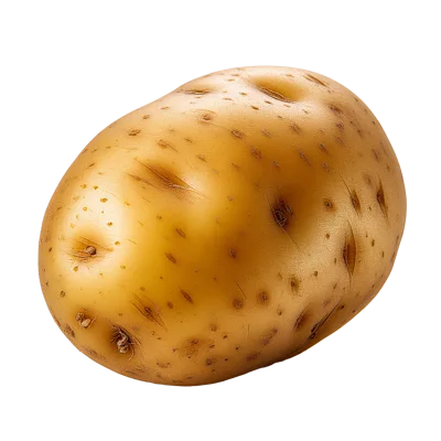 Single Raw Potato Isolated On White Background