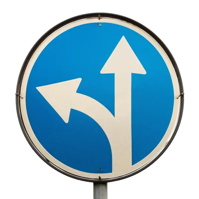 Blue Circular Road Sign With Left Turn And Straight Arrow