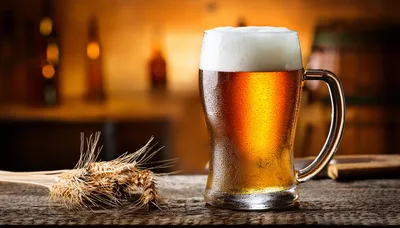 Cold Glass Of Beer With Wheat Stalks
