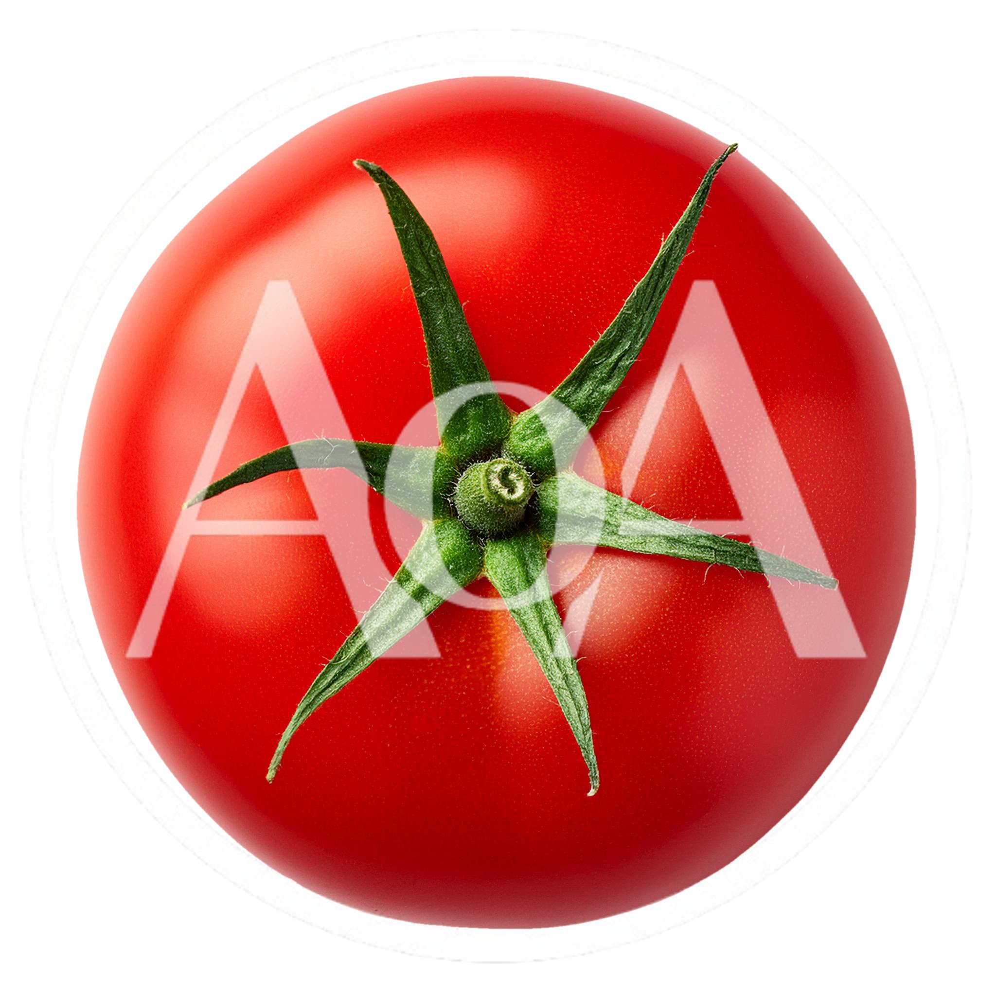 Fresh Red Tomato With Green Stem Isolated On White