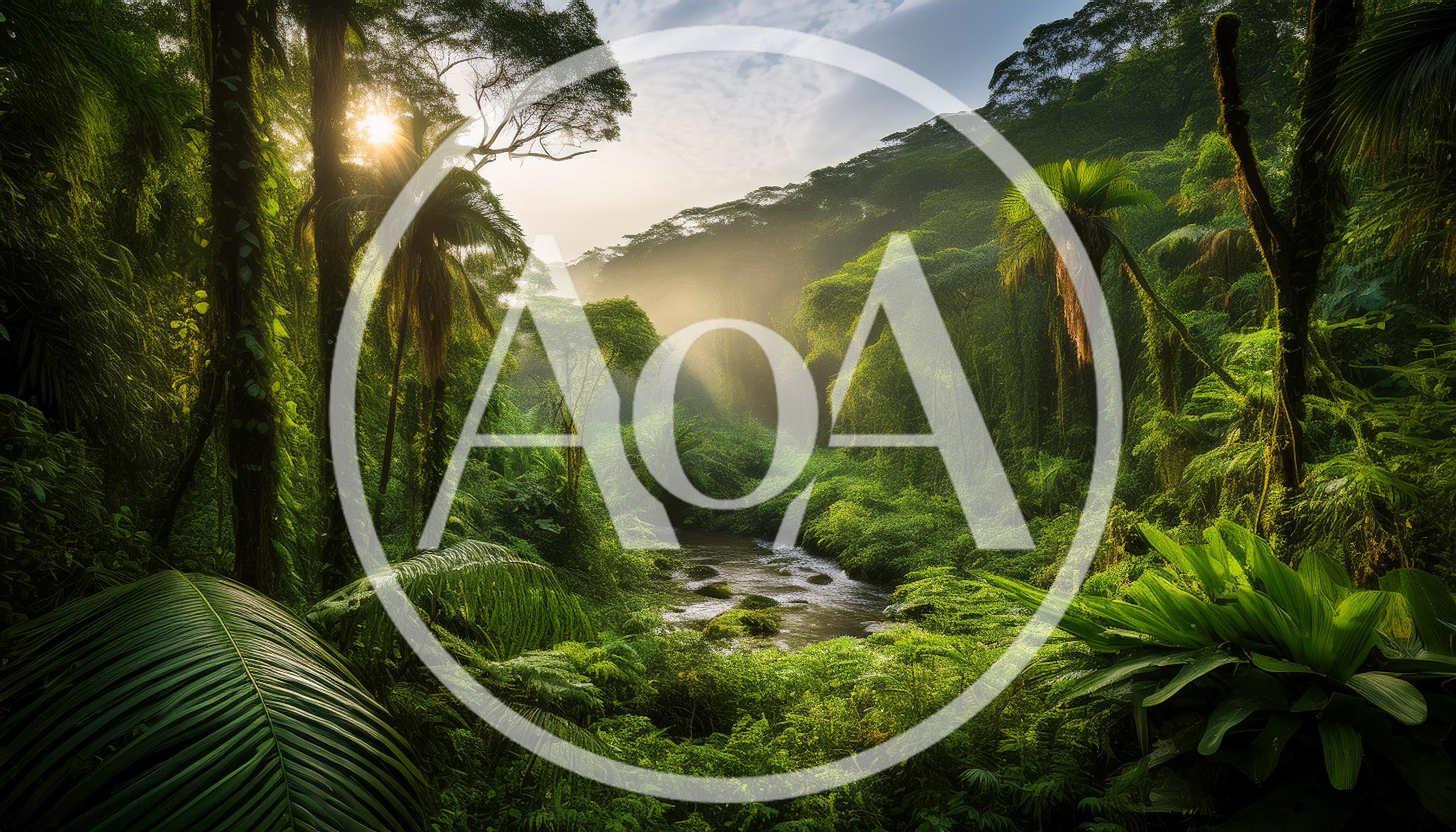 Lush Tropical Rainforest With A Winding River