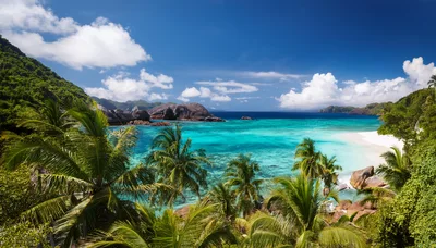 Tropical Beach Landscape With Turquoise Water And Palm Trees