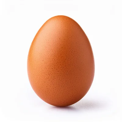 Single Brown Chicken Egg Isolated On White Background