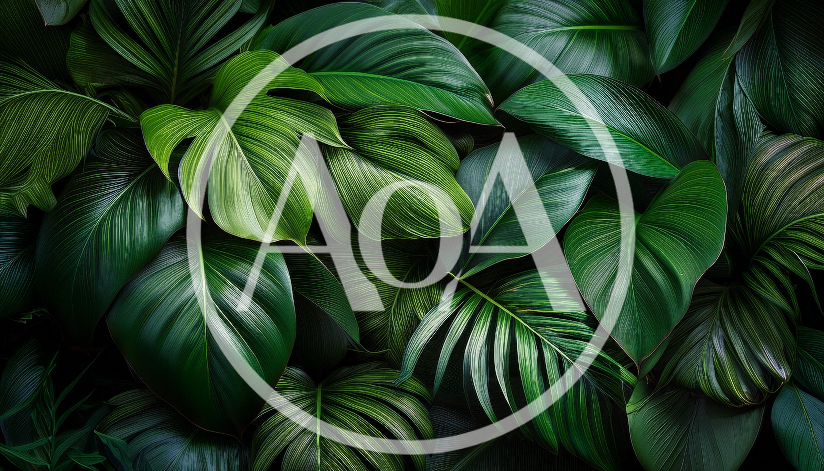 Lush Tropical Green Foliage Background