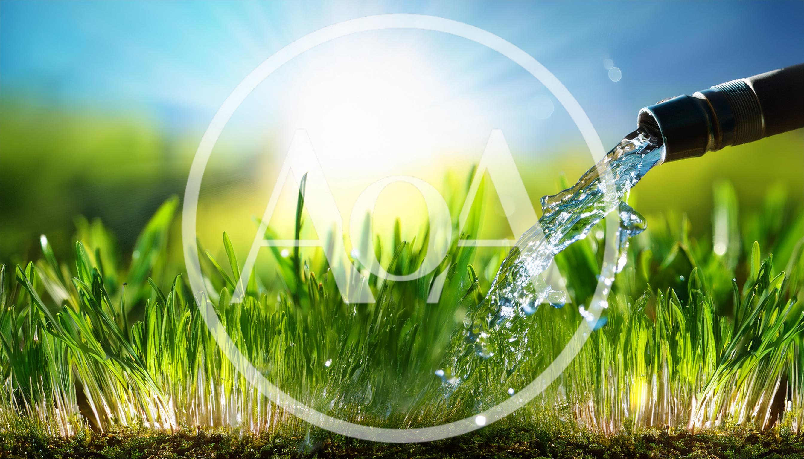 Watering Fresh Green Grass With A Garden Hose