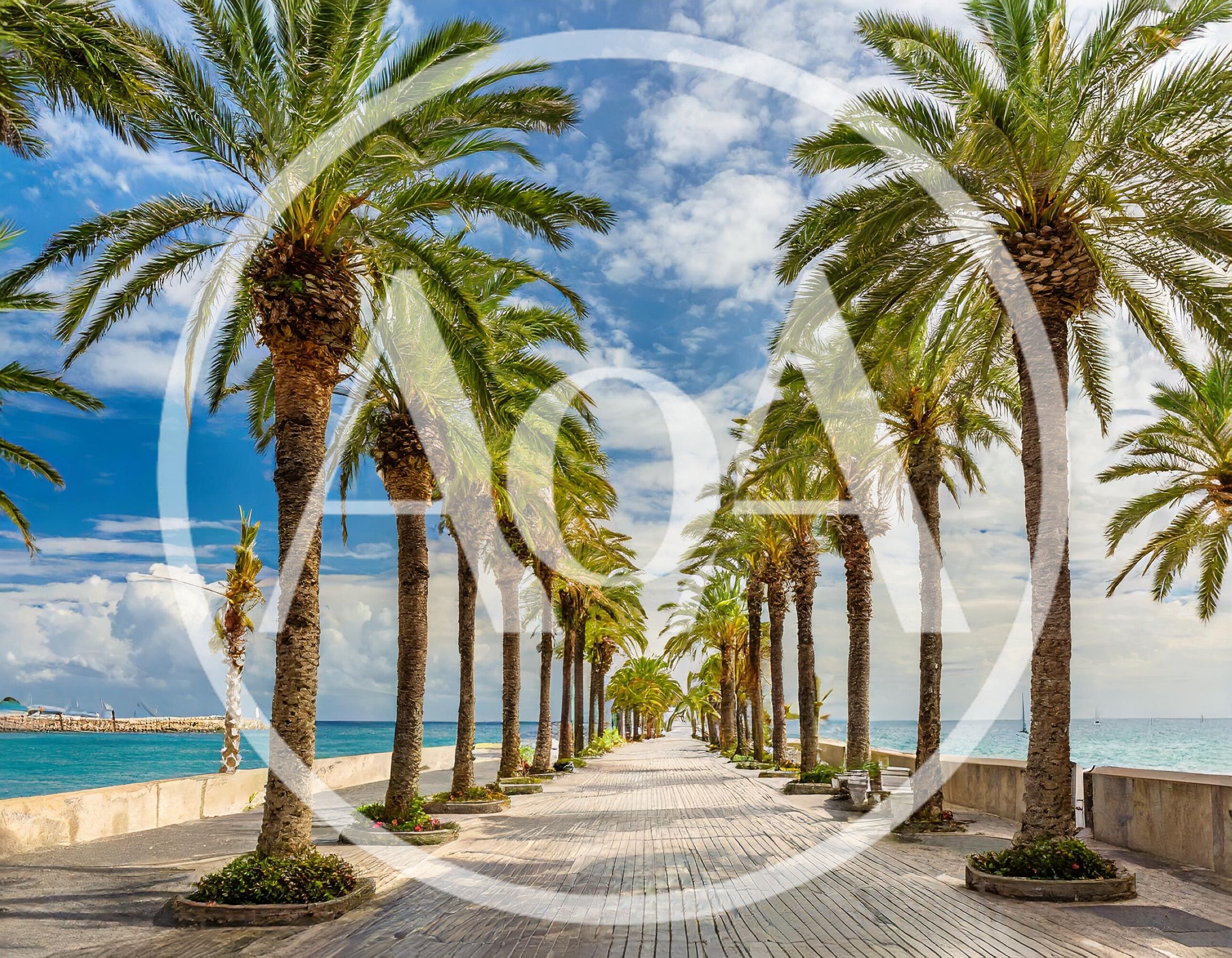 Palm Tree Lined Promenade Along The Mediterranean Sea