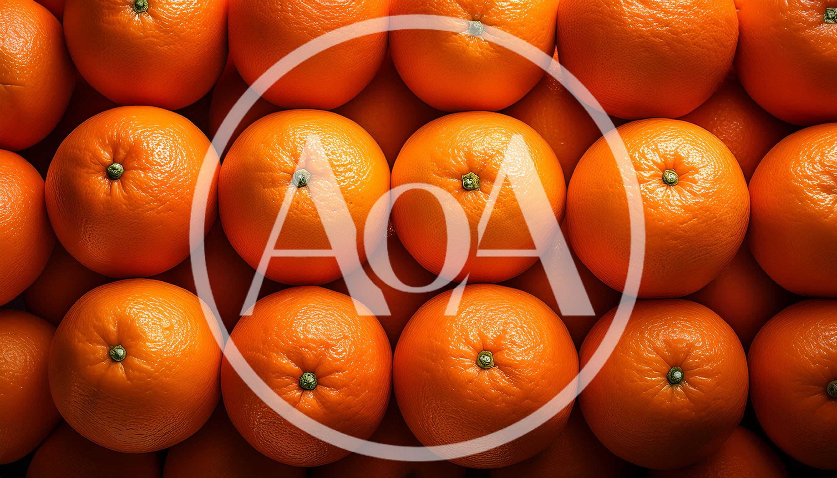 Top Down View Of Fresh Ripe Oranges