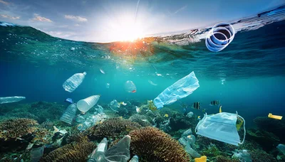 Plastic Pollution Floating Over A Coral Reef