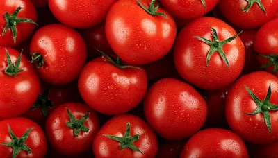 Fresh Red Tomatoes With Water Droplets Background