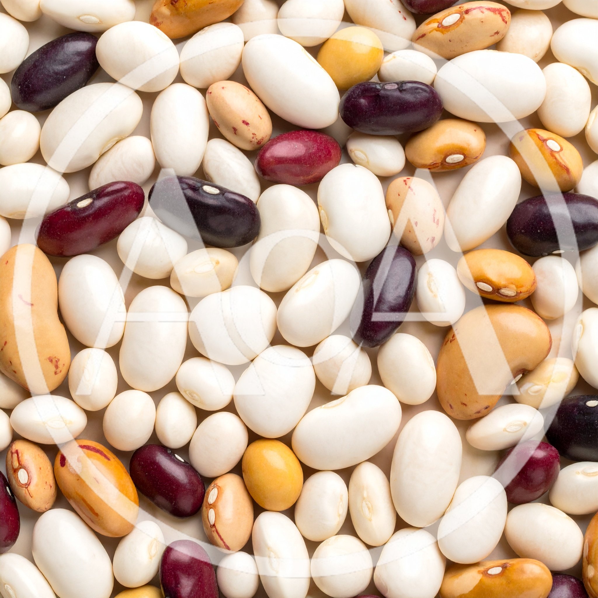 Assorted Dried Beans Mix Background