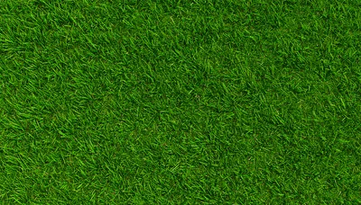 Lush Green Grass Texture Background