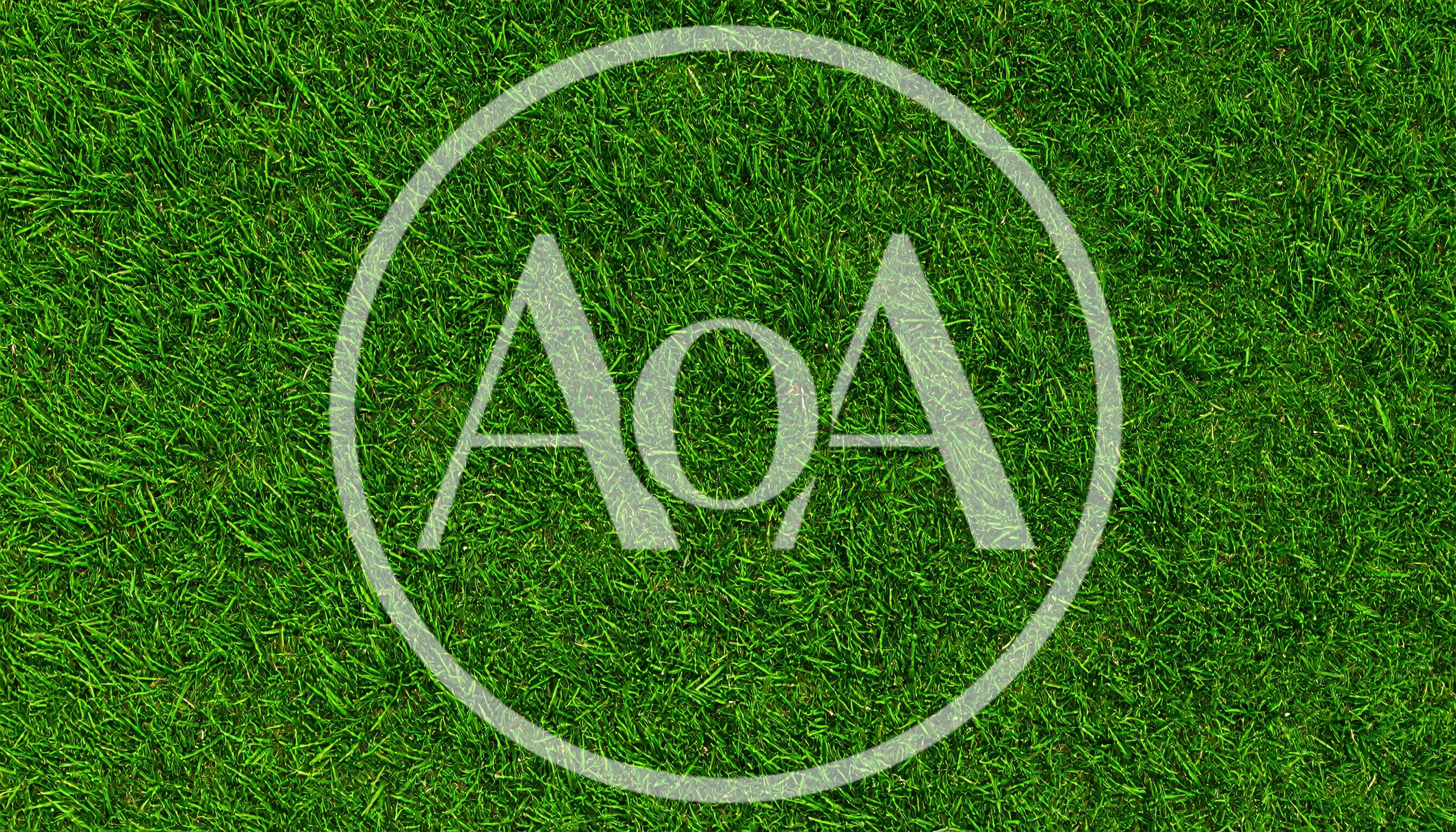 Lush Green Grass Texture Background