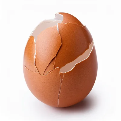 Cracked Brown Chicken Egg Shell Isolated