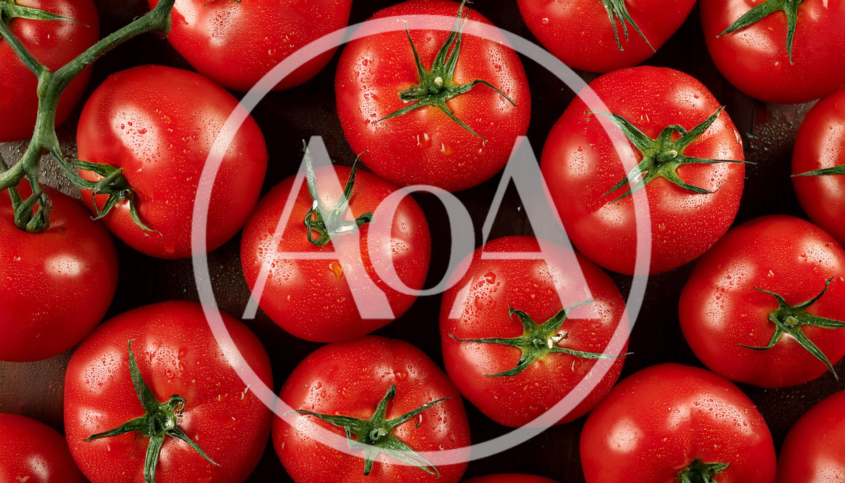 Fresh Red Tomatoes With Green Stems On Dark Background