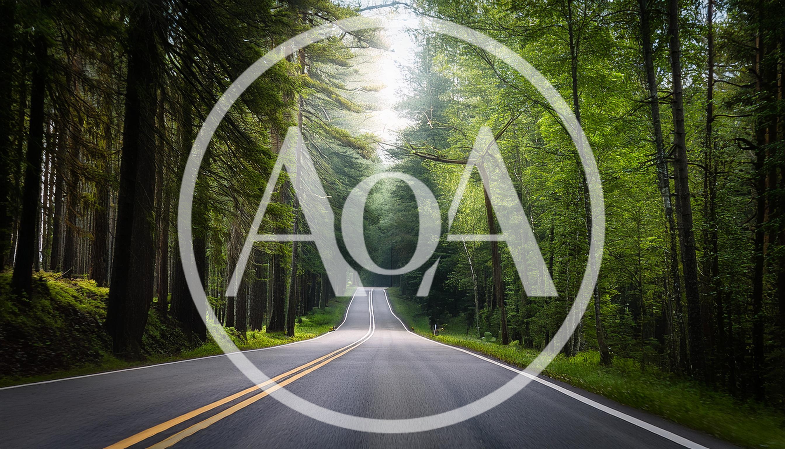 Empty Asphalt Road Through A Dense Green Forest