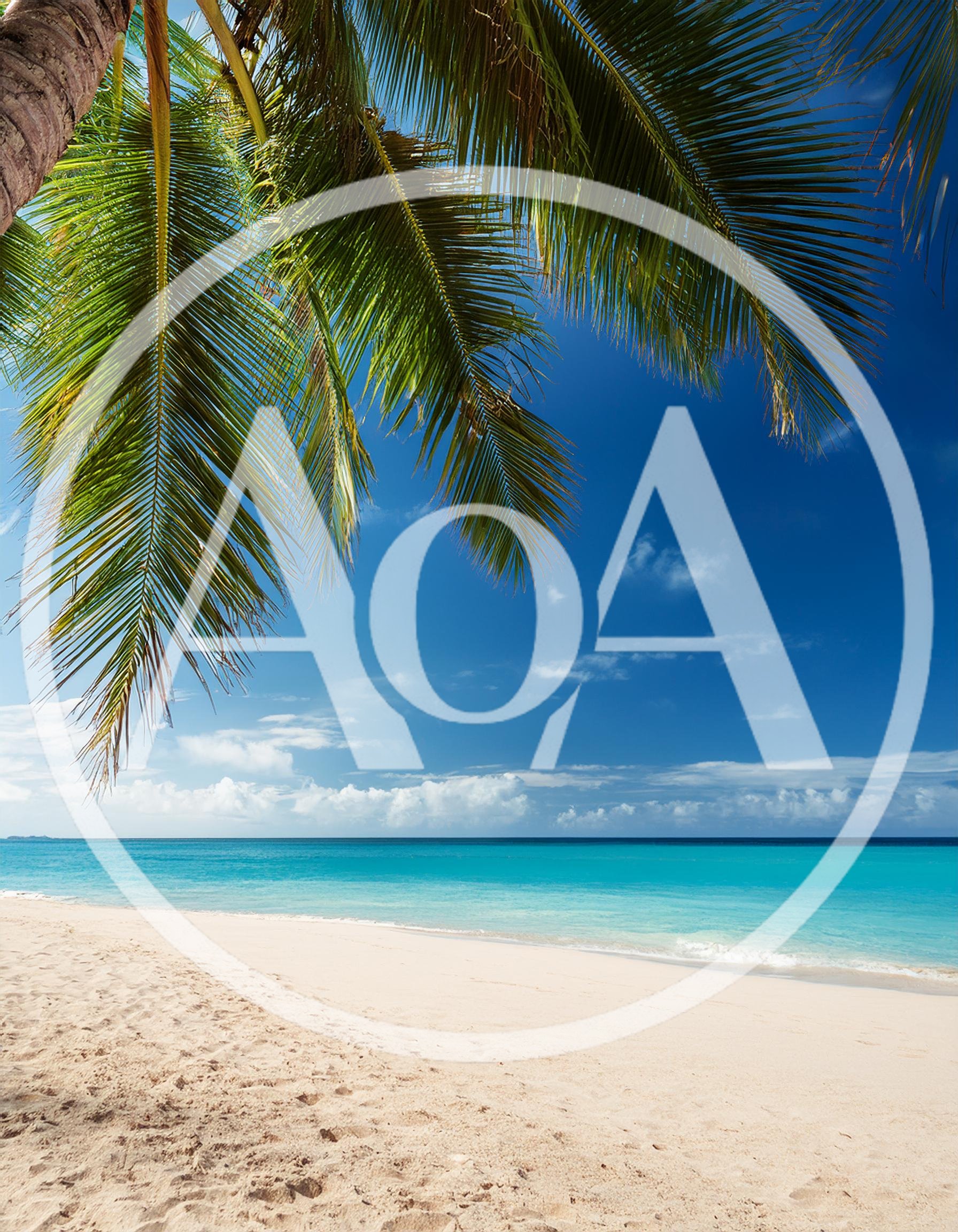 Tropical Beach Scene With Palm Fronds And Turquoise Water