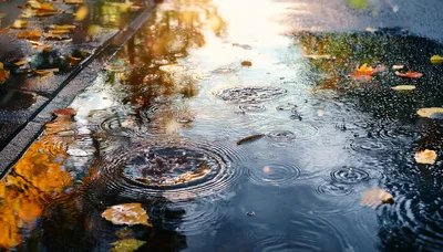 Raindrops Falling Into A Puddle With Autumn Leaves