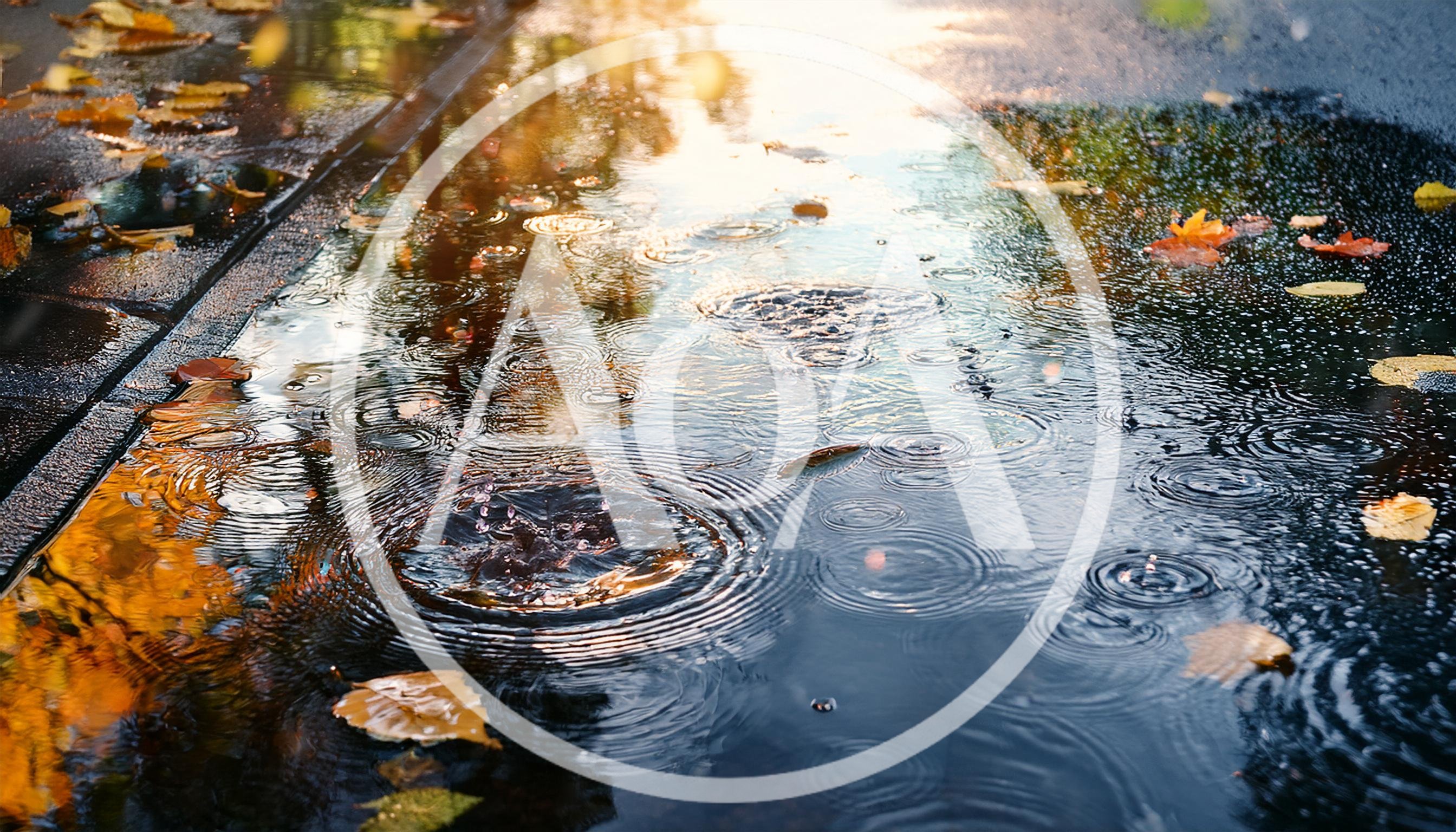 Raindrops Falling Into A Puddle With Autumn Leaves