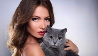 Beautiful Woman Holding A Grey British Shorthair Cat
