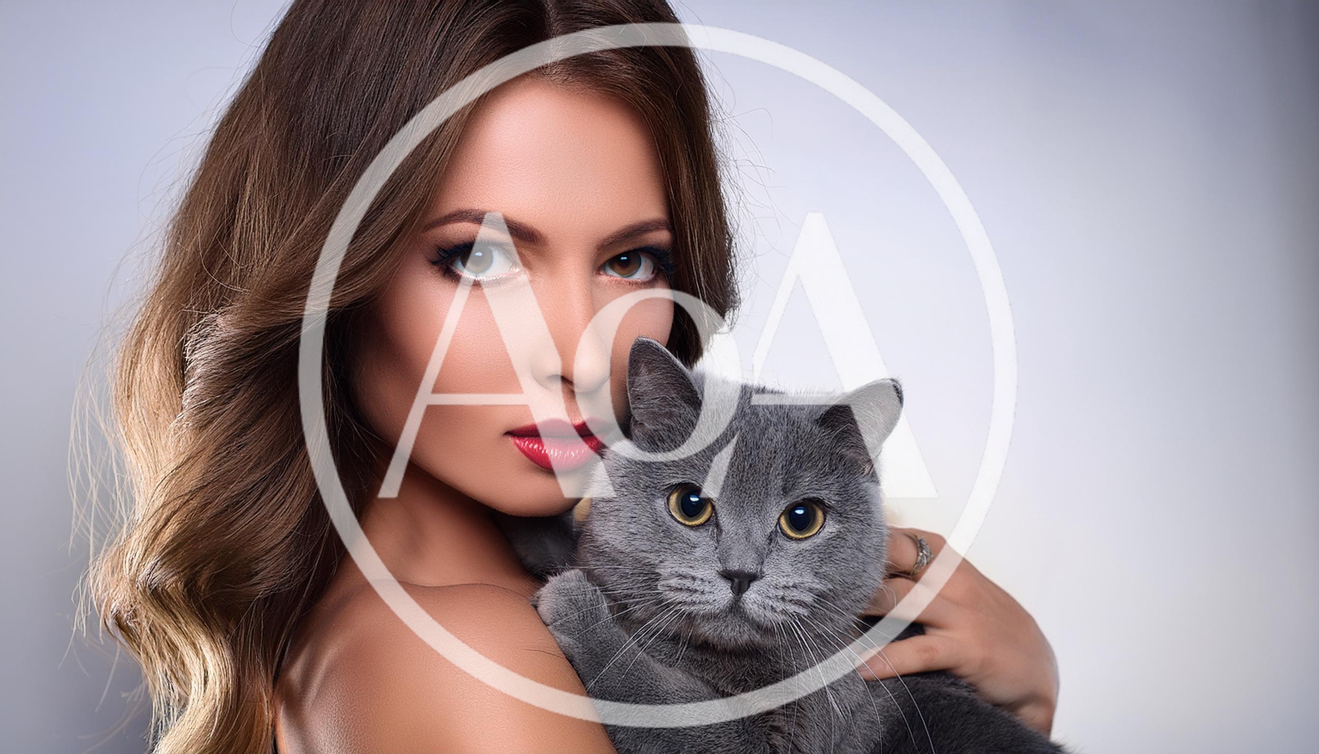 Beautiful Woman Holding A Grey British Shorthair Cat