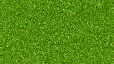 Top Down View Of Lush Green Grass Texture