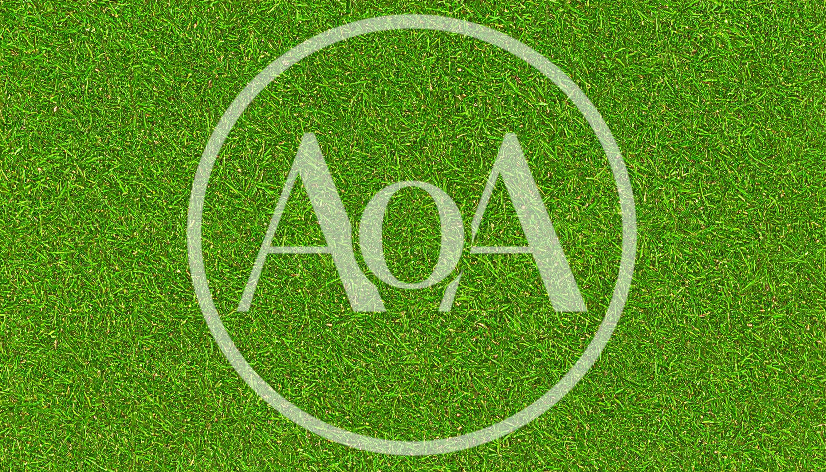 Top Down View Of Lush Green Grass Texture