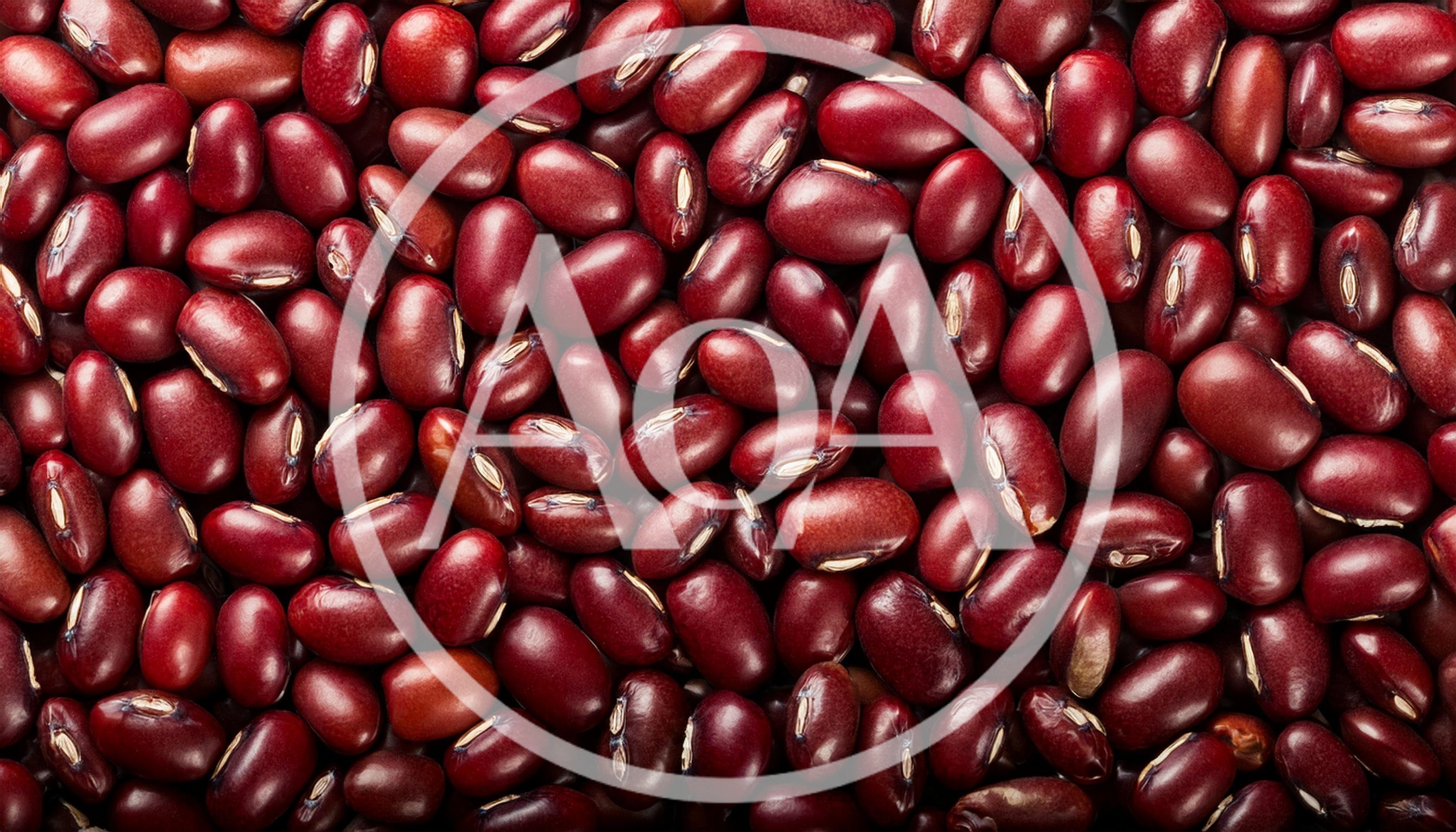 Top View Of Raw Red Kidney Beans