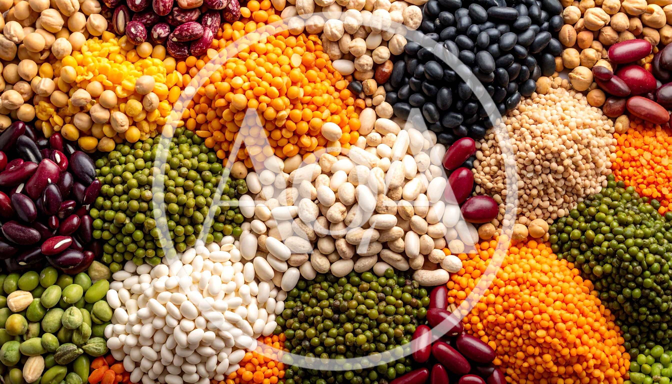 Assorted Dried Legumes and Pulses Variety