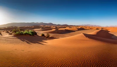 Panoramic View Of Red Sand Dunes In The Desert