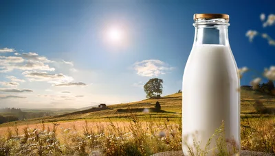 Glass Bottle Of Fresh Milk In A Sunny Meadow
