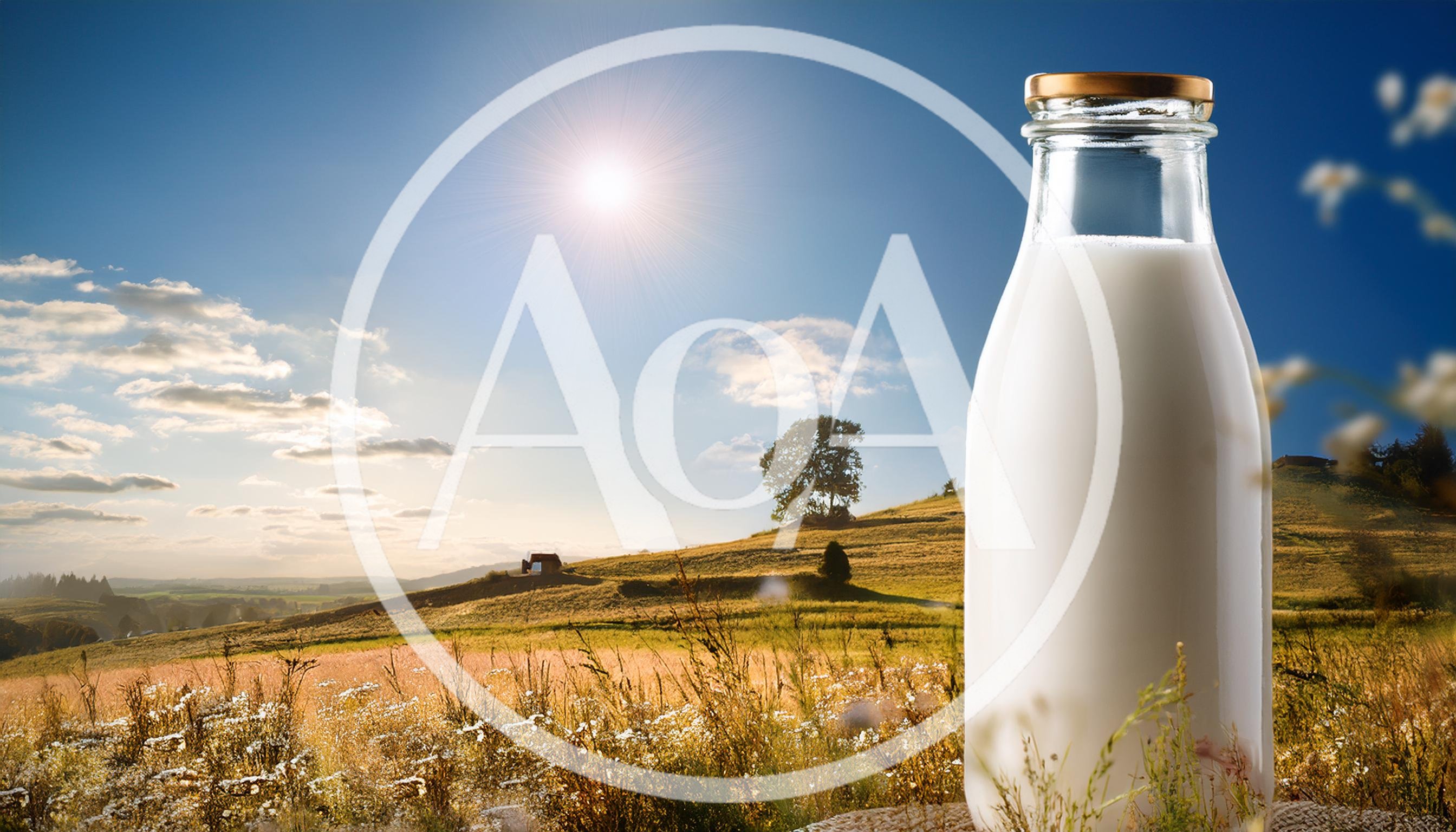 Glass Bottle Of Fresh Milk In A Sunny Meadow