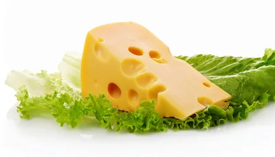 Wedge Of Swiss Cheese On Fresh Green Lettuce