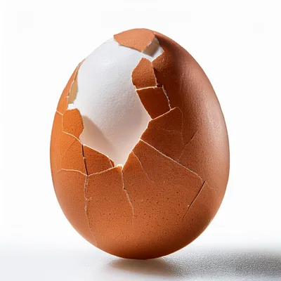 Cracked Brown Egg Showing White Interior