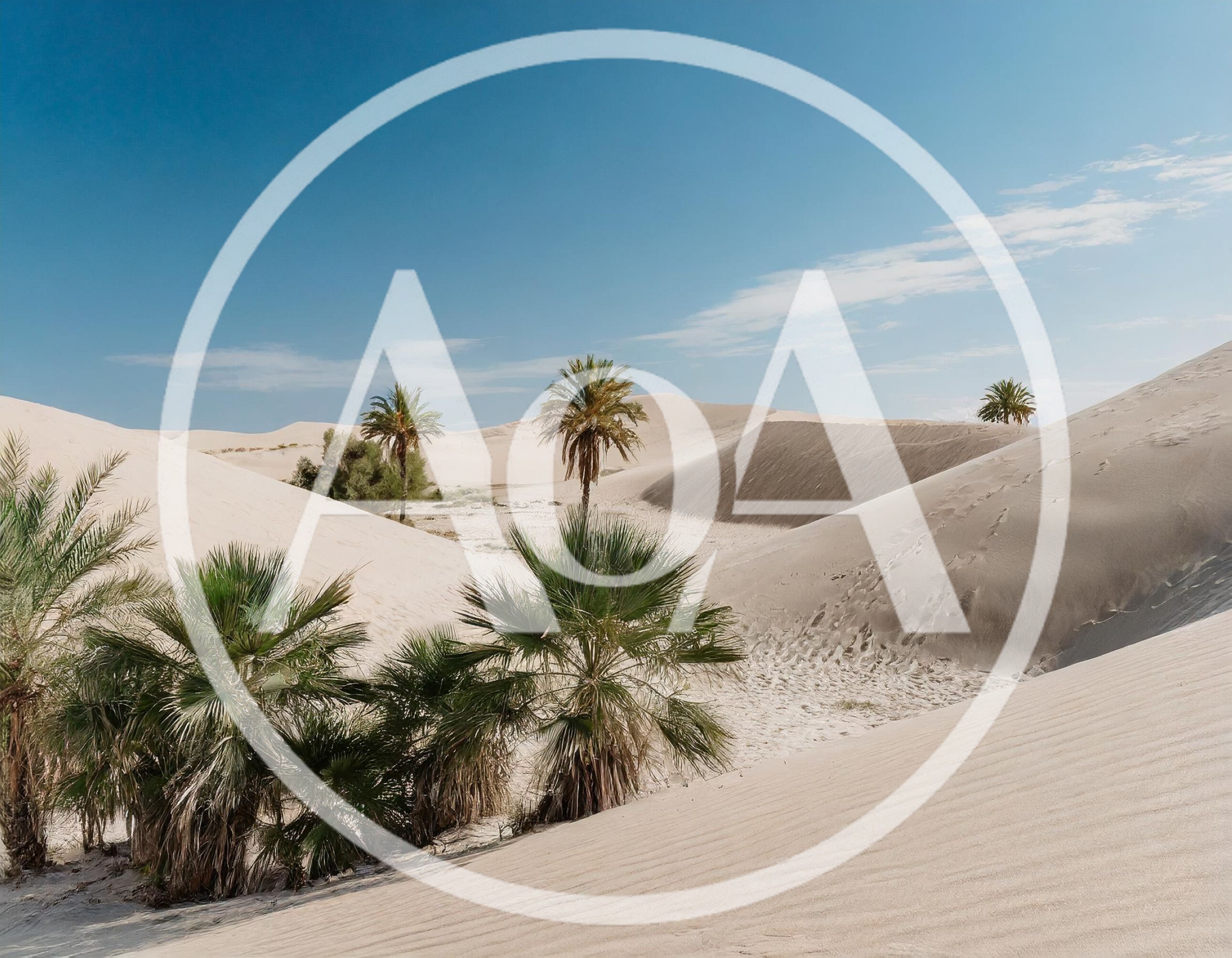 Palm Trees Growing In The Middle Of Sand Dunes