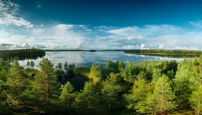 Panoramic View Of A Serene Finnish Lake And Forest