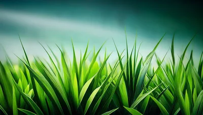 Vibrant Green Grass Blades Against Soft Teal Background