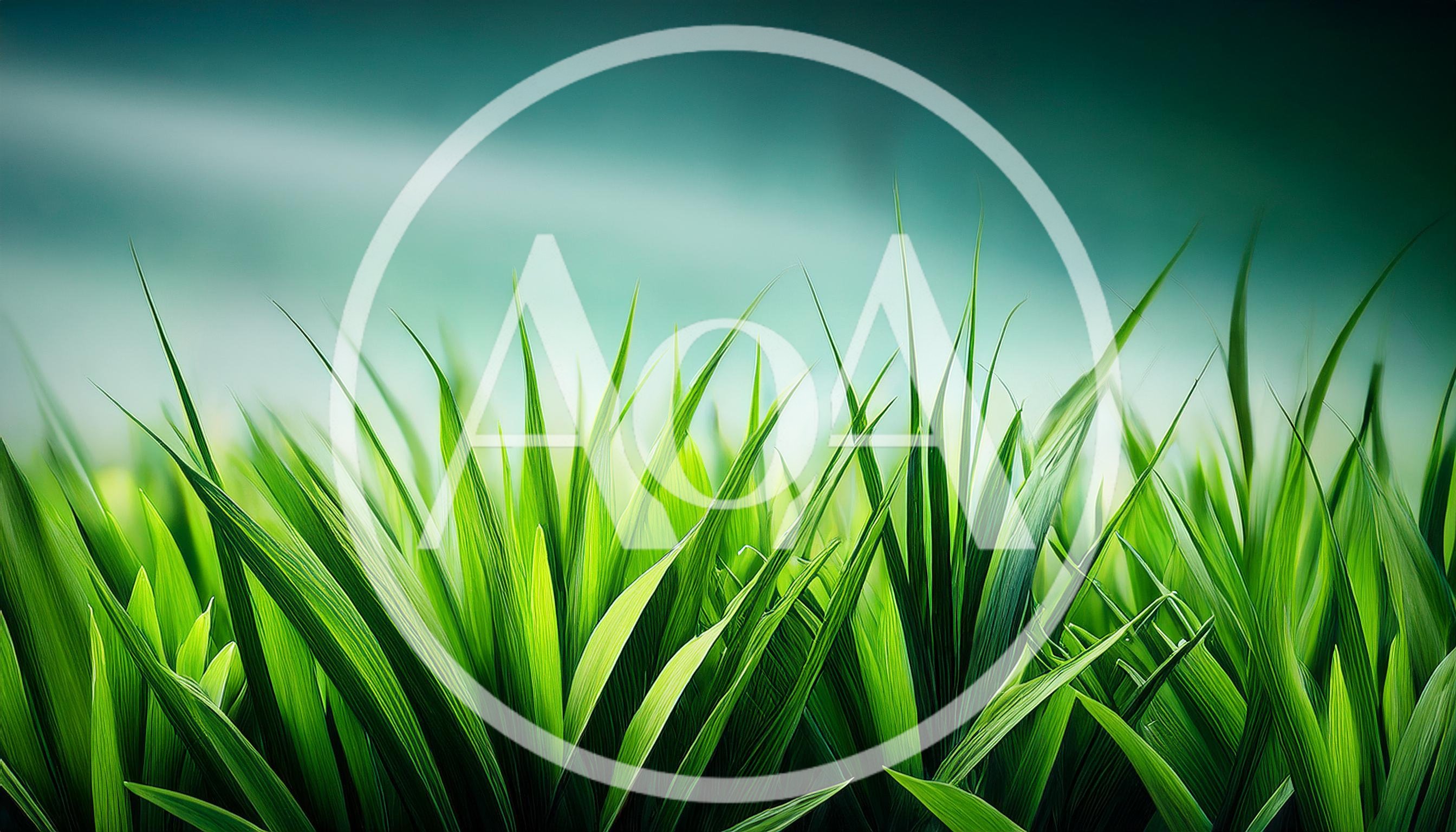 Vibrant Green Grass Blades Against Soft Teal Background