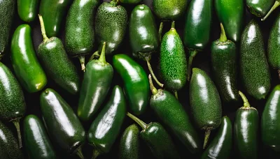 Fresh Green Jalapeno Peppers Background