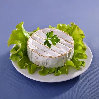 Camembert Cheese Wheel Served on Fresh Lettuce