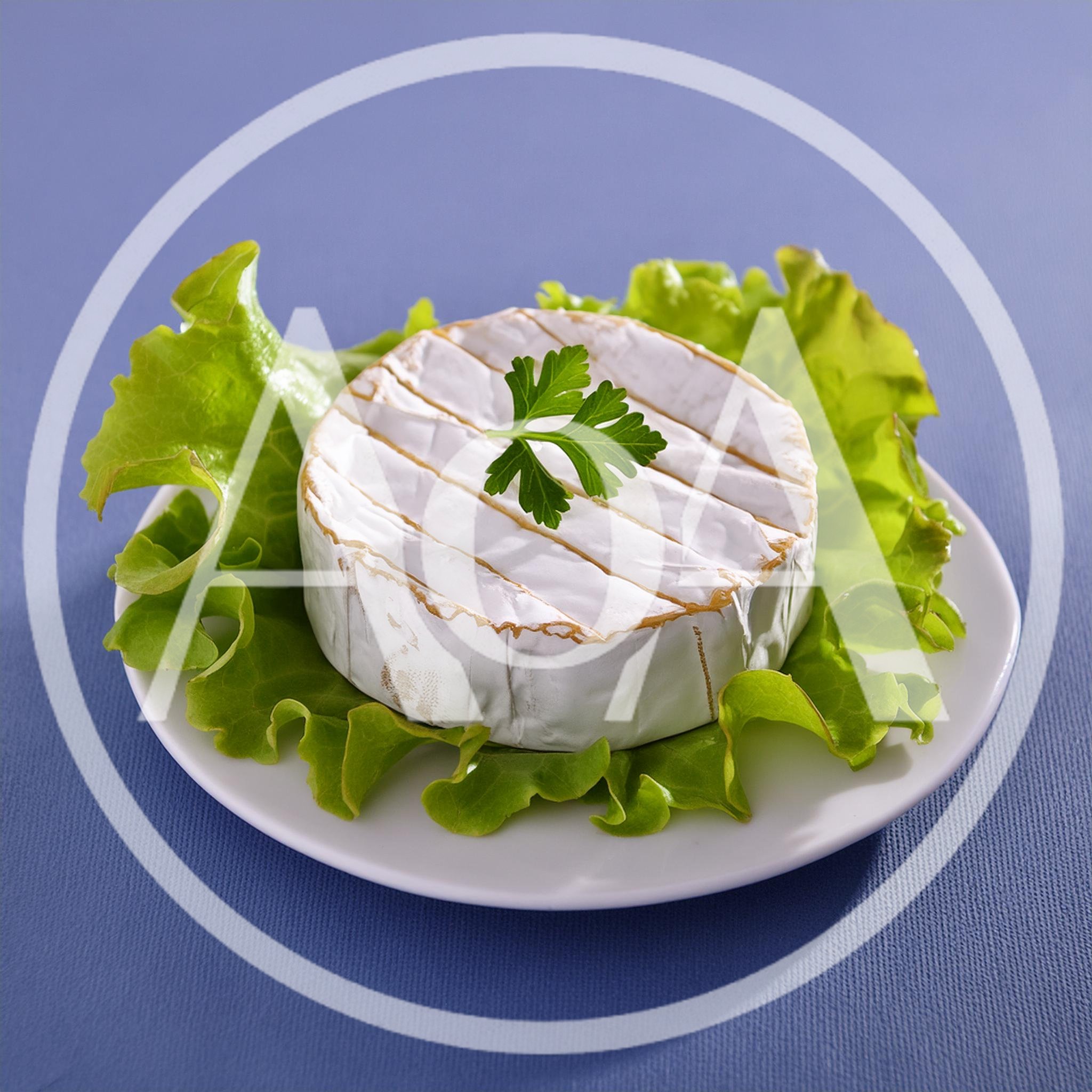 Camembert Cheese Wheel Served on Fresh Lettuce