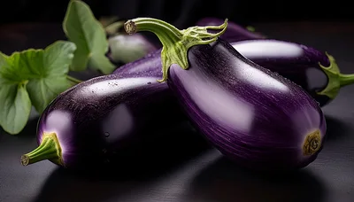 Fresh Purple Eggplants on Dark Surface