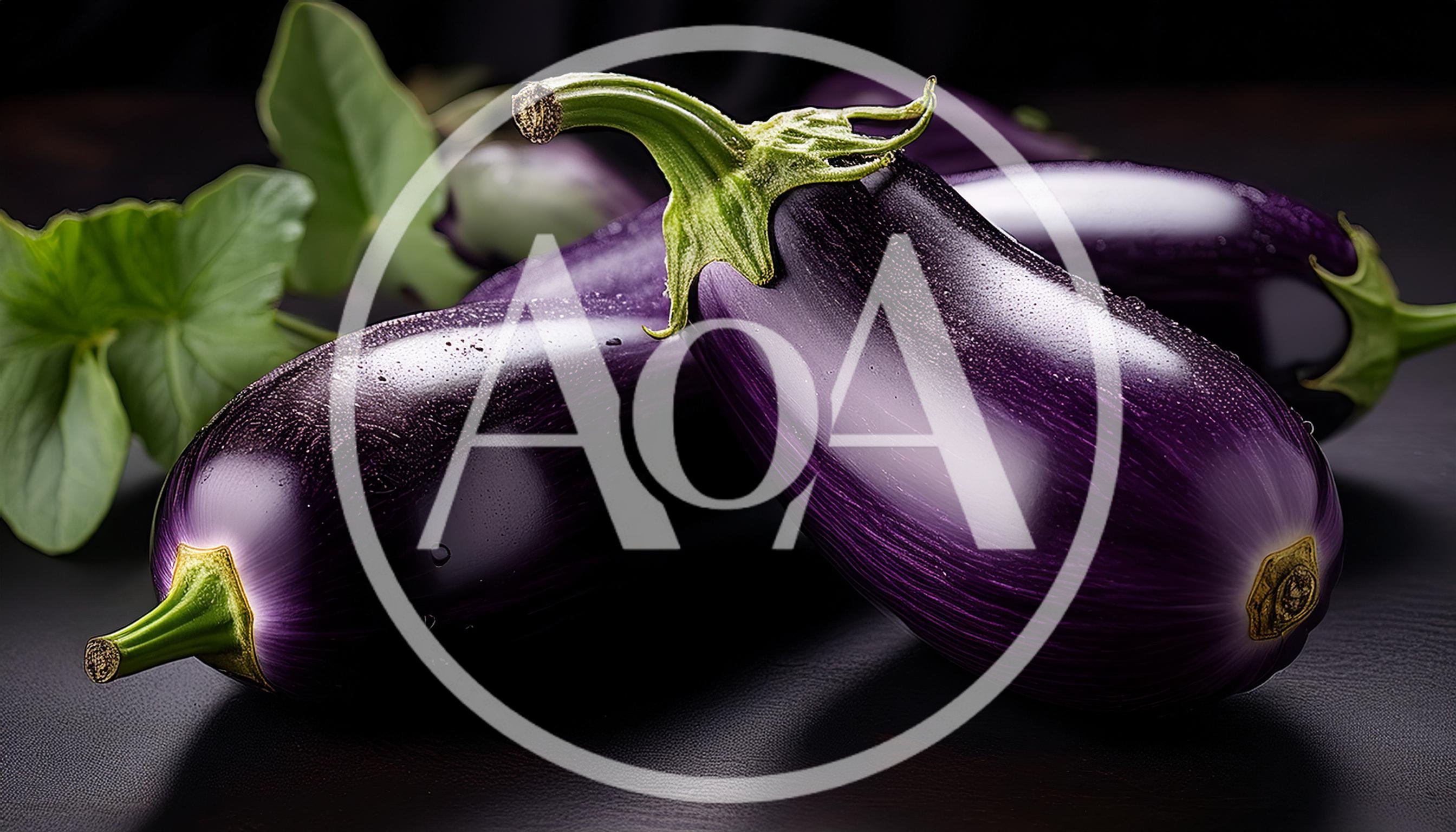 Fresh Purple Eggplants on Dark Surface