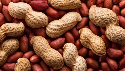 Top View Of Raw Peanuts In Shells And Kernels