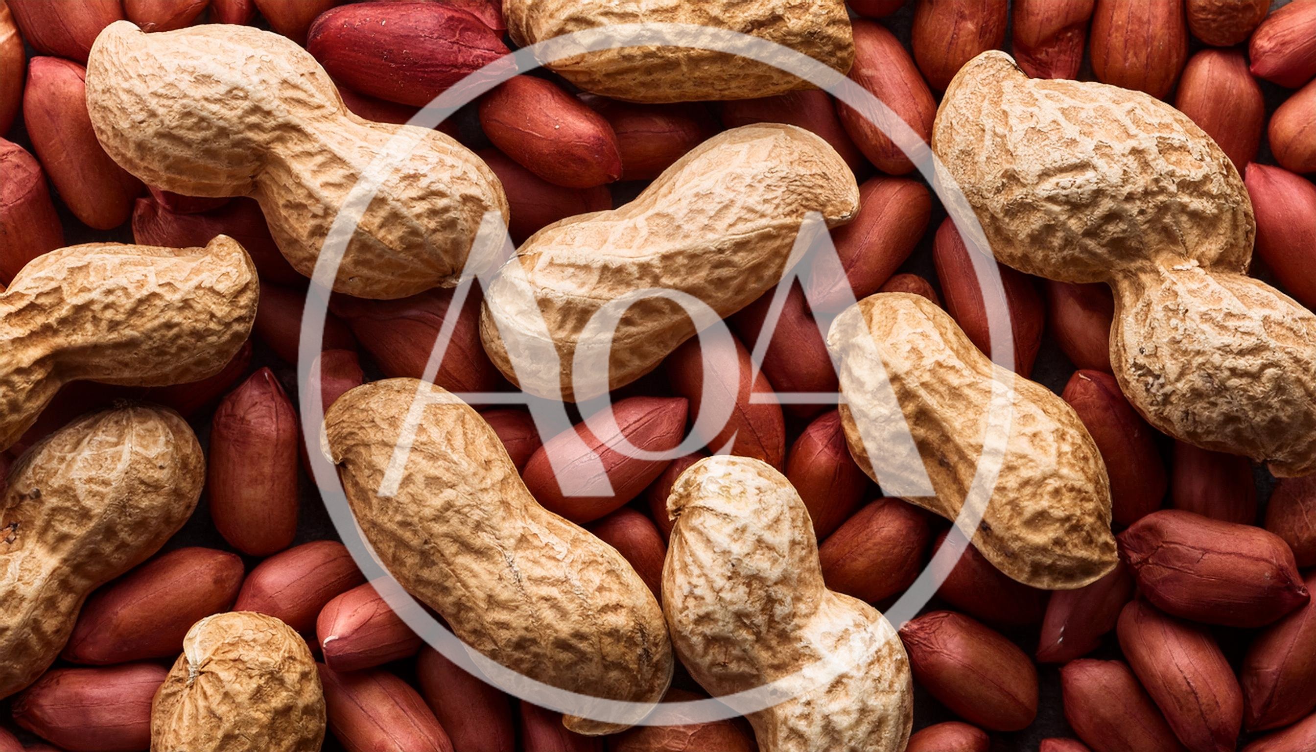 Top View Of Raw Peanuts In Shells And Kernels