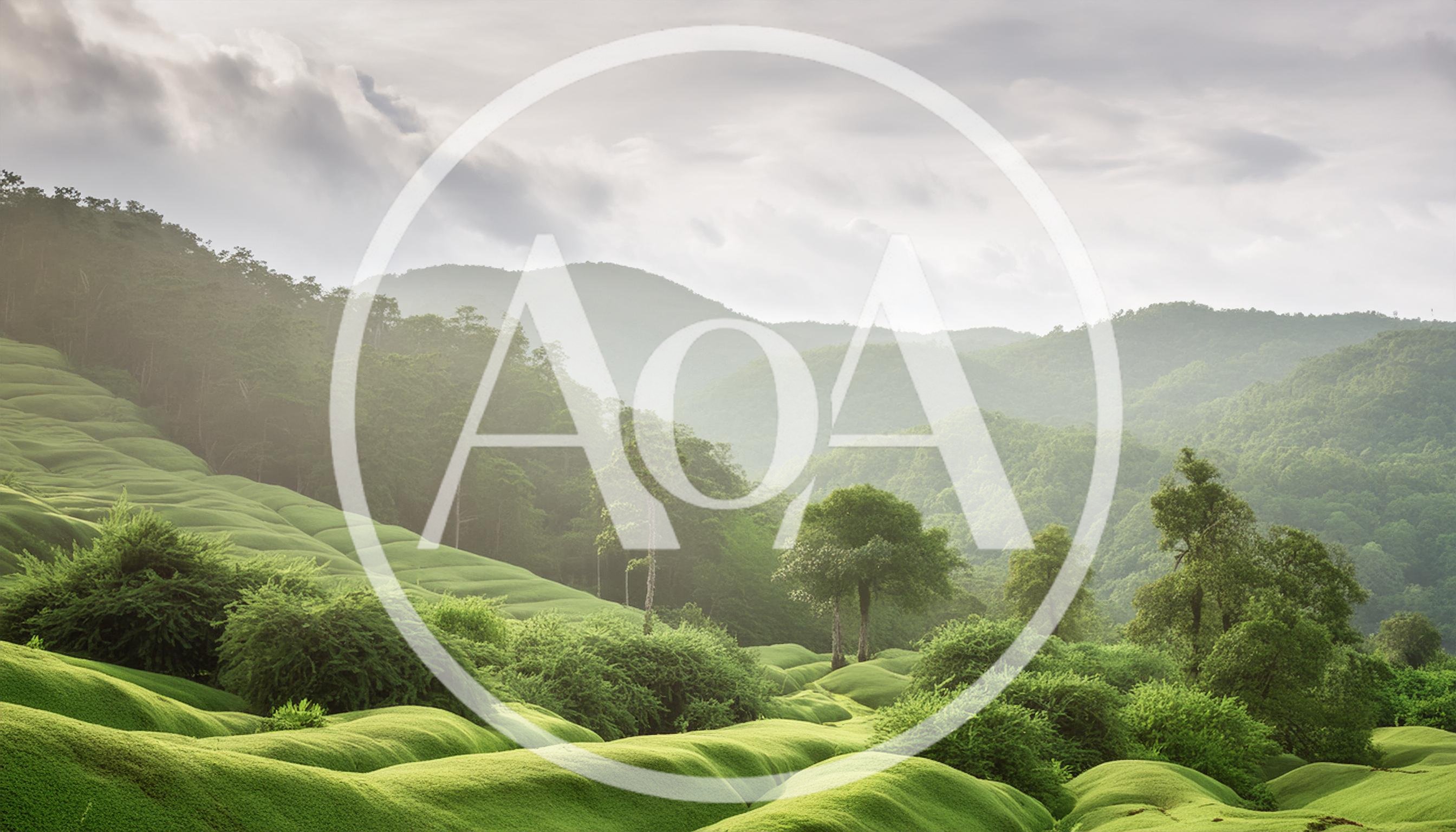 Rolling Green Hills And Lush Forest Landscape