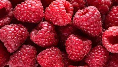 Fresh Ripe Raspberries Close Up Background