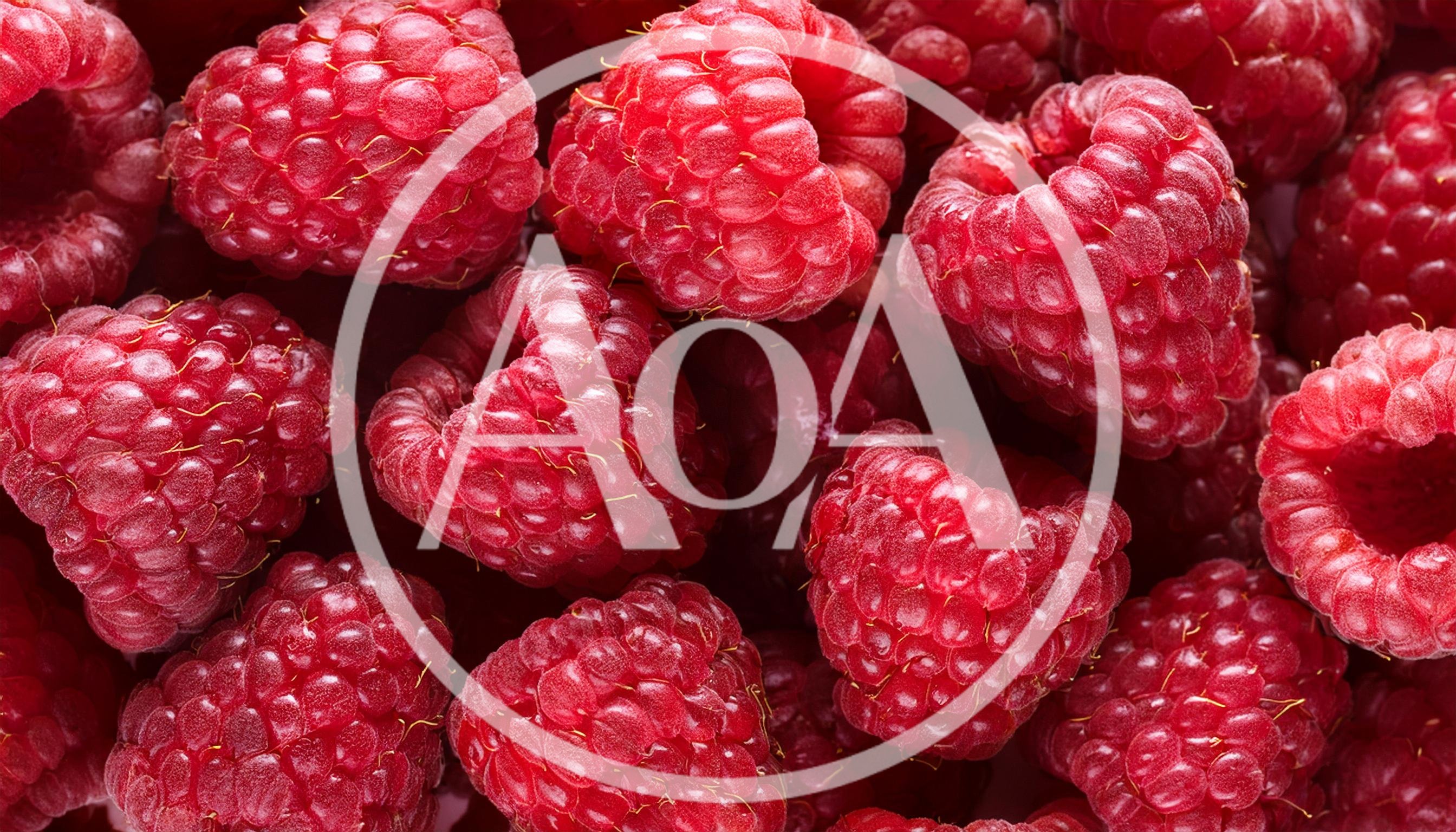 Fresh Ripe Raspberries Close Up Background