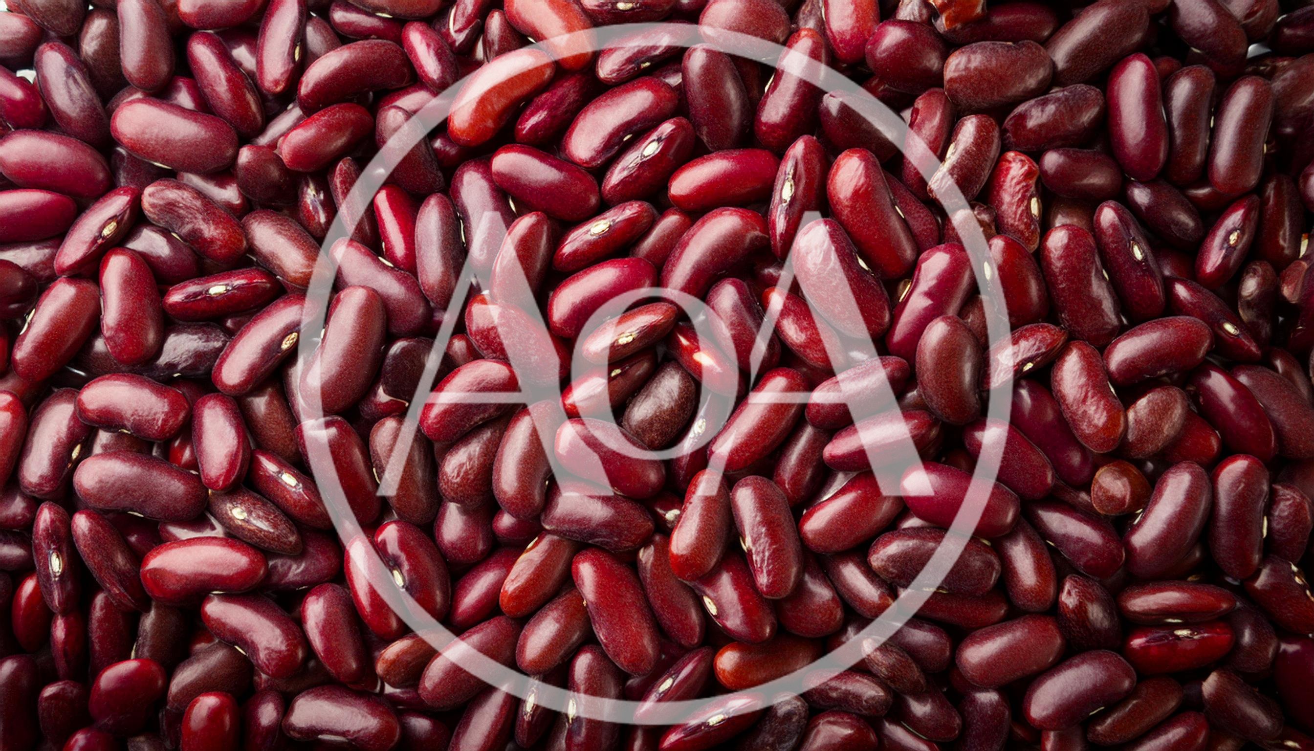 Top View Of Raw Red Kidney Beans