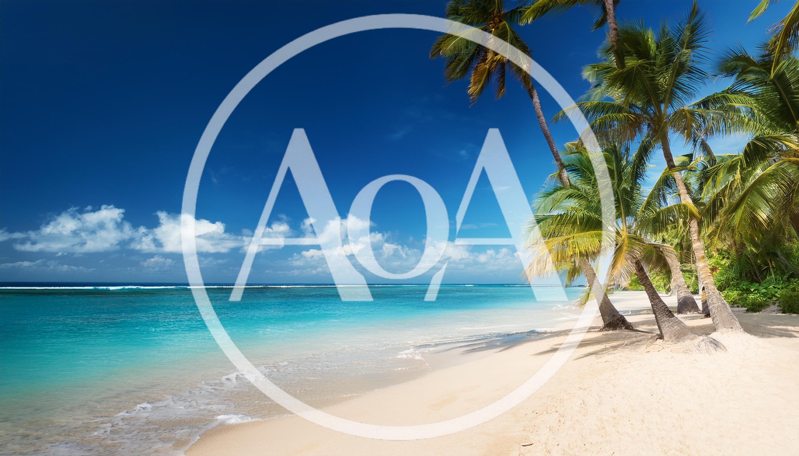 Tropical Beach With Palm Trees And Turquoise Water